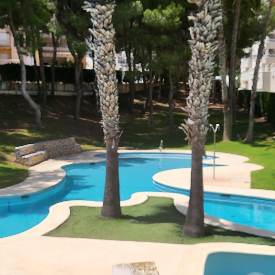 Apartamento Ines, Dehesa De Campoamor,900M From The Sea , Swimming Pool & Tennis Court Bagian luar foto